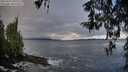 ./images/koeye/fitz-hugh/20260325/fitz-hugh20260325_095501M.jpg