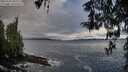 ./images/koeye/fitz-hugh/20260325/fitz-hugh20260325_100002M.jpg