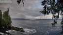./images/koeye/fitz-hugh/20260325/fitz-hugh20260325_100501M.jpg