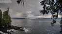 ./images/koeye/fitz-hugh/20260325/fitz-hugh20260325_101001M.jpg