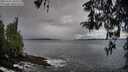 ./images/koeye/fitz-hugh/20260325/fitz-hugh20260325_102501M.jpg