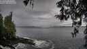 ./images/koeye/fitz-hugh/20260325/fitz-hugh20260325_103001M.jpg
