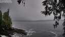 ./images/koeye/fitz-hugh/20260325/fitz-hugh20260325_110502M.jpg