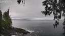 ./images/koeye/fitz-hugh/20260325/fitz-hugh20260325_122501M.jpg