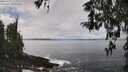 ./images/koeye/fitz-hugh/20260325/fitz-hugh20260325_124001M.jpg