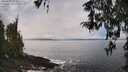 ./images/koeye/fitz-hugh/20260325/fitz-hugh20260325_124501M.jpg