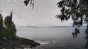 ./images/koeye/fitz-hugh/20260325/fitz-hugh20260325_125001M.jpg