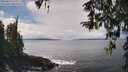 ./images/koeye/fitz-hugh/20260325/fitz-hugh20260325_130001M.jpg