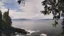 ./images/koeye/fitz-hugh/20260325/fitz-hugh20260325_130501M.jpg