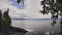 ./images/koeye/fitz-hugh/20260325/fitz-hugh20260325_131501M.jpg