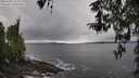 ./images/koeye/fitz-hugh/20260325/fitz-hugh20260325_134502M.jpg