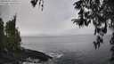 ./images/koeye/fitz-hugh/20260325/fitz-hugh20260325_140501M.jpg