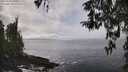 ./images/koeye/fitz-hugh/20260325/fitz-hugh20260325_141001M.jpg