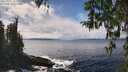 ./images/koeye/fitz-hugh/20260325/fitz-hugh20260325_142001M.jpg