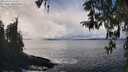 ./images/koeye/fitz-hugh/20260325/fitz-hugh20260325_143501M.jpg