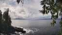./images/koeye/fitz-hugh/20260325/fitz-hugh20260325_144001M.jpg