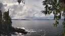 ./images/koeye/fitz-hugh/20260325/fitz-hugh20260325_144501M.jpg
