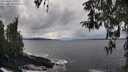 ./images/koeye/fitz-hugh/20260325/fitz-hugh20260325_145501M.jpg