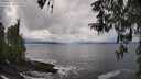./images/koeye/fitz-hugh/20260325/fitz-hugh20260325_150502M.jpg