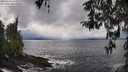./images/koeye/fitz-hugh/20260325/fitz-hugh20260325_151002M.jpg