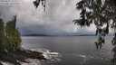 ./images/koeye/fitz-hugh/20260325/fitz-hugh20260325_152502M.jpg