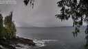 ./images/koeye/fitz-hugh/20260325/fitz-hugh20260325_154001M.jpg
