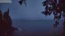 ./images/koeye/fitz-hugh/20260326/fitz-hugh20260326_064501M.jpg