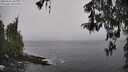 ./images/koeye/fitz-hugh/20260326/fitz-hugh20260326_105001M.jpg