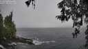 ./images/koeye/fitz-hugh/20260326/fitz-hugh20260326_110002M.jpg