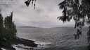 ./images/koeye/fitz-hugh/20260326/fitz-hugh20260326_161002M.jpg