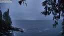 ./images/koeye/fitz-hugh/20260326/fitz-hugh20260326_200001M.jpg