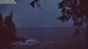 ./images/koeye/fitz-hugh/20260326/fitz-hugh20260326_202501M.jpg