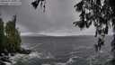 ./images/koeye/fitz-hugh/20260327/fitz-hugh20260327_080501M.jpg