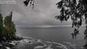./images/koeye/fitz-hugh/20260327/fitz-hugh20260327_100001M.jpg