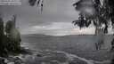 ./images/koeye/fitz-hugh/20260327/fitz-hugh20260327_102502M.jpg