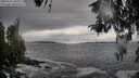 ./images/koeye/fitz-hugh/20260327/fitz-hugh20260327_103001M.jpg