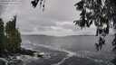 ./images/koeye/fitz-hugh/20260327/fitz-hugh20260327_104501M.jpg