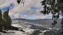 ./images/koeye/fitz-hugh/20260327/fitz-hugh20260327_114001M.jpg