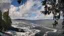 ./images/koeye/fitz-hugh/20260327/fitz-hugh20260327_115502M.jpg