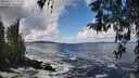 ./images/koeye/fitz-hugh/20260327/fitz-hugh20260327_121501M.jpg