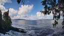 ./images/koeye/fitz-hugh/20260327/fitz-hugh20260327_123001M.jpg