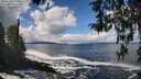 ./images/koeye/fitz-hugh/20260327/fitz-hugh20260327_124501M.jpg