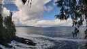./images/koeye/fitz-hugh/20260327/fitz-hugh20260327_125001M.jpg