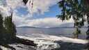 ./images/koeye/fitz-hugh/20260327/fitz-hugh20260327_130501M.jpg