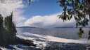 ./images/koeye/fitz-hugh/20260327/fitz-hugh20260327_131501M.jpg
