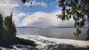 ./images/koeye/fitz-hugh/20260327/fitz-hugh20260327_132001M.jpg
