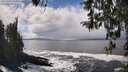 ./images/koeye/fitz-hugh/20260327/fitz-hugh20260327_132501M.jpg