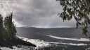 ./images/koeye/fitz-hugh/20260327/fitz-hugh20260327_133502M.jpg