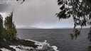./images/koeye/fitz-hugh/20260327/fitz-hugh20260327_134501M.jpg