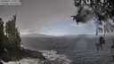 ./images/koeye/fitz-hugh/20260327/fitz-hugh20260327_135002M.jpg